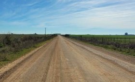 23 ha. en Cnia. Bailina, fact. Avícola